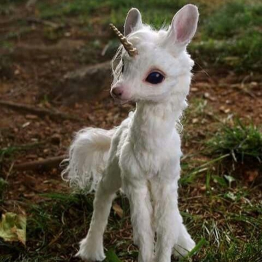 Meet your Posher, Candace